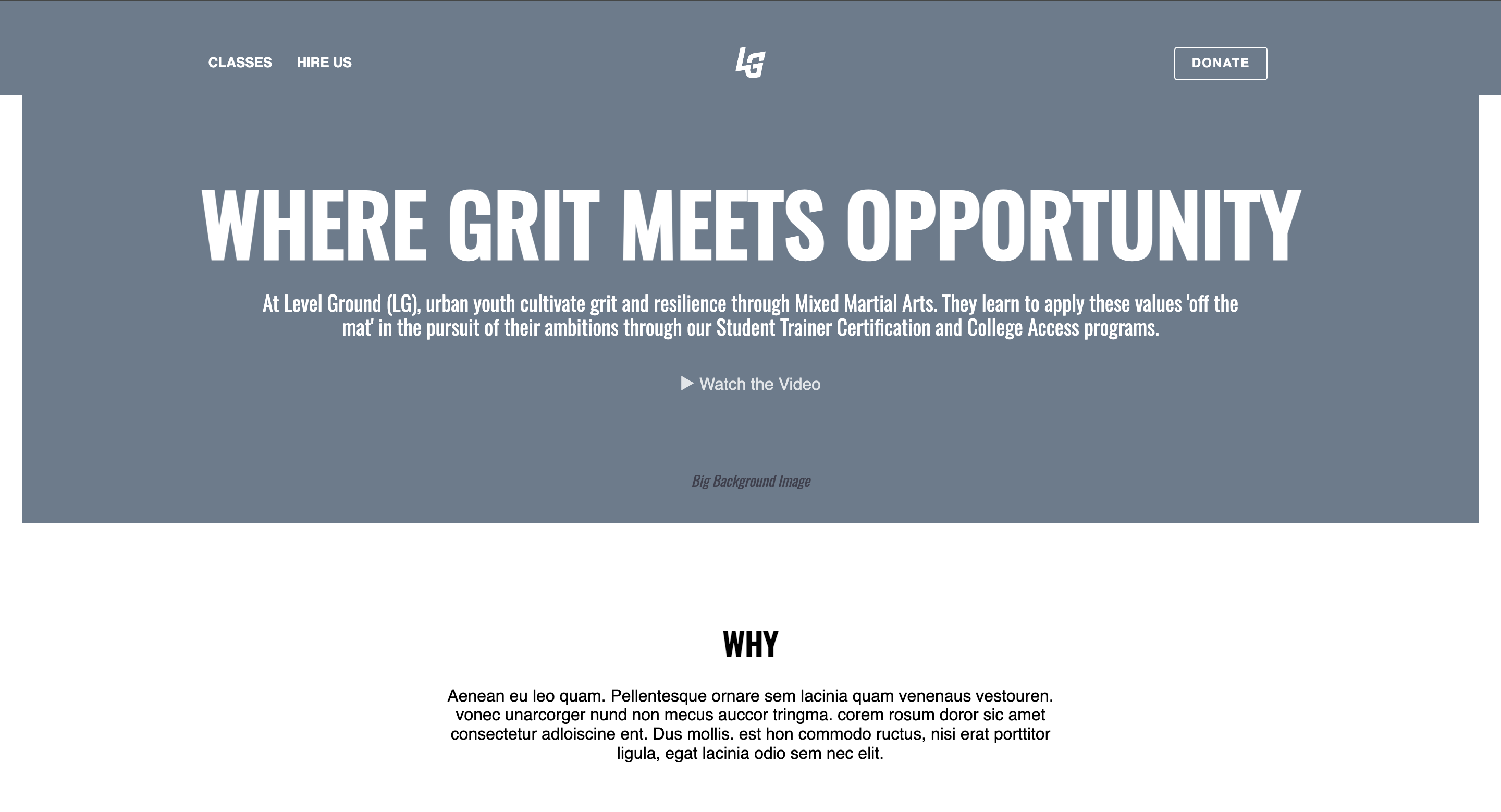 Levelground Website Picture